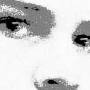 Meet your Posher, Jayson